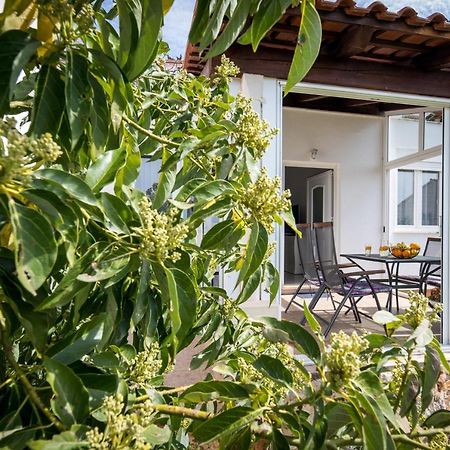 Avocado Apartment Dubrovnik Dış mekan fotoğraf