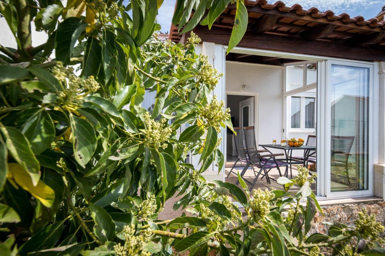 Avocado Apartment Dubrovnik Dış mekan fotoğraf