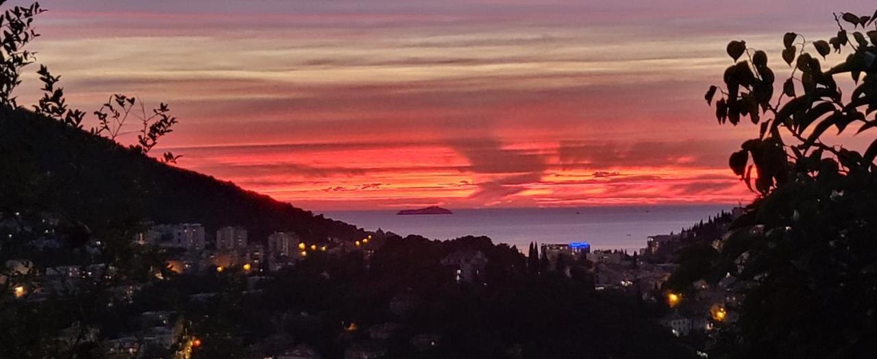Avocado Apartment Dubrovnik Dış mekan fotoğraf